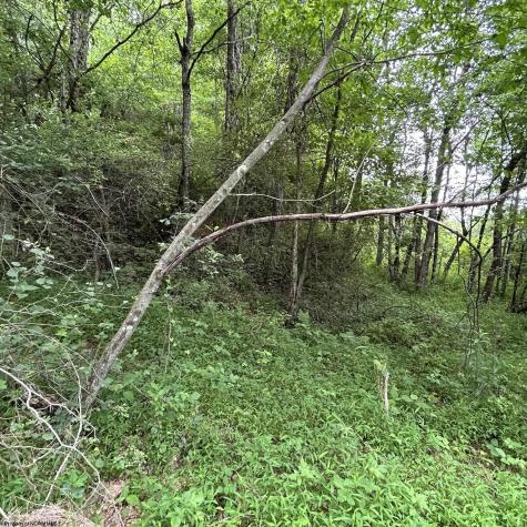 1328 Moyers Road Bruceton Mills WV 26525