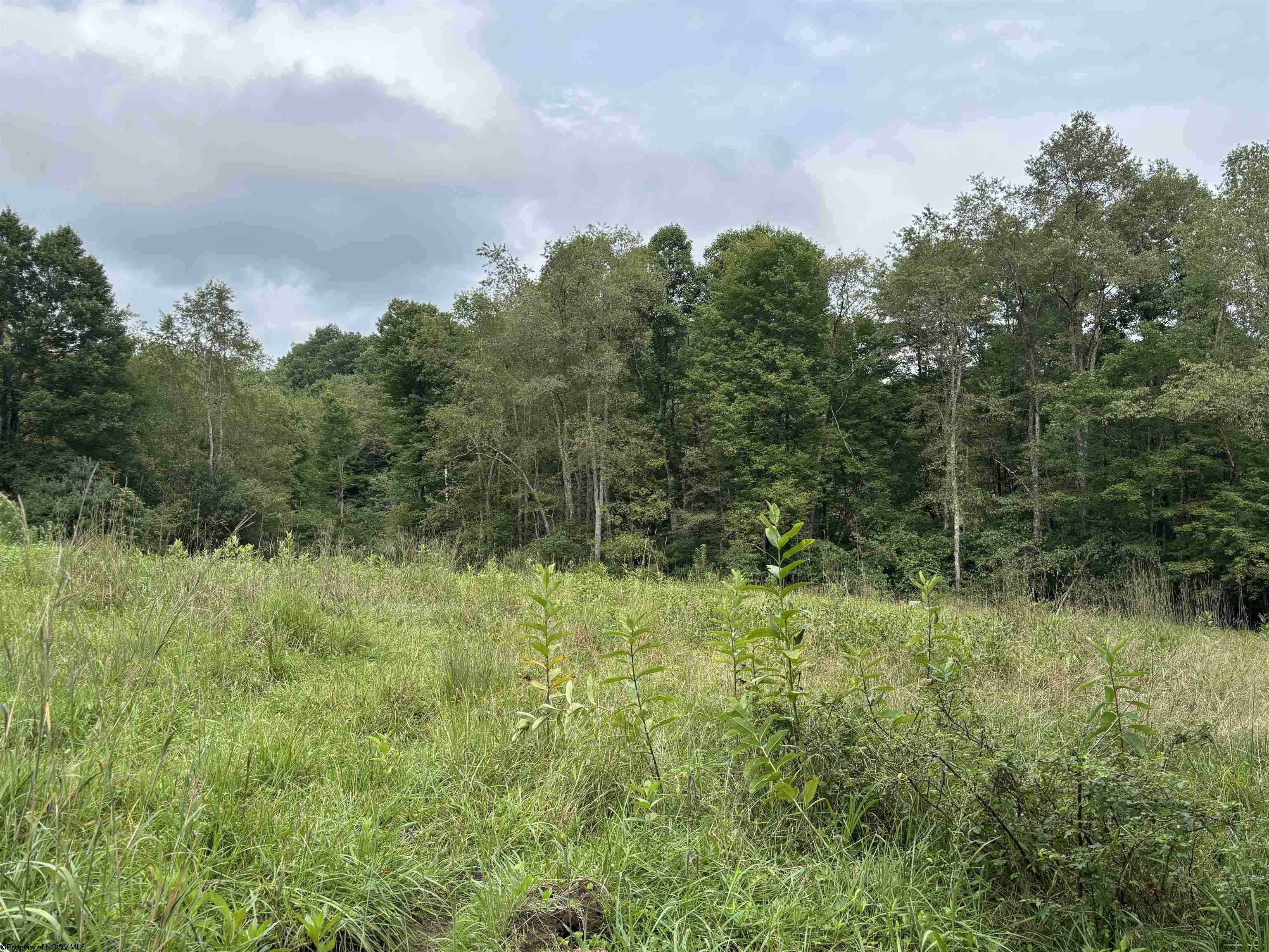 96 Donnie Hill Road Belington WV 26250