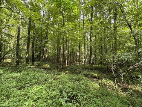 96 Donnie Hill Road Belington WV 26250