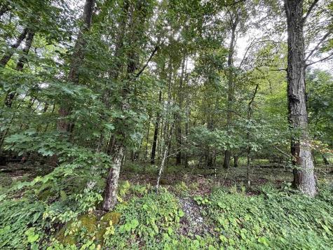 96 Donnie Hill Road Belington WV 26250