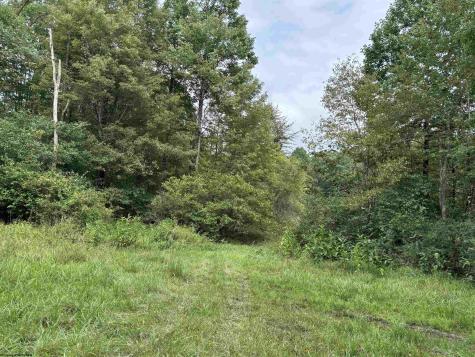 96 Donnie Hill Road Belington WV 26250