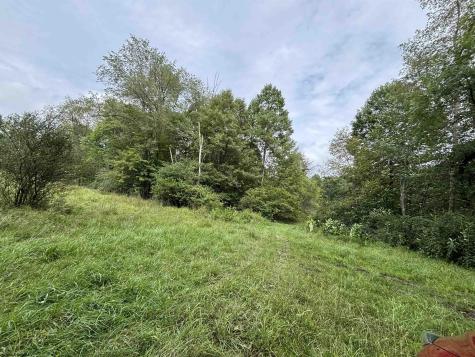 96 Donnie Hill Road Belington WV 26250