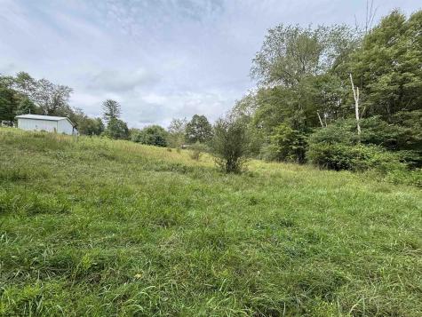 96 Donnie Hill Road Belington WV 26250