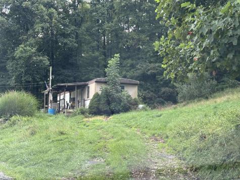 96 Donnie Hill Road Belington WV 26250