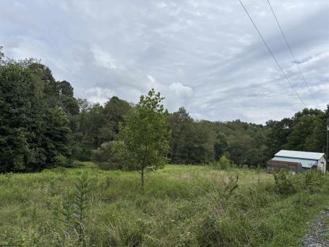 96 Donnie Hill Road Belington WV 26250