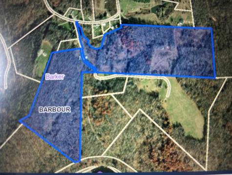 96 Donnie Hill Road Belington WV 26250
