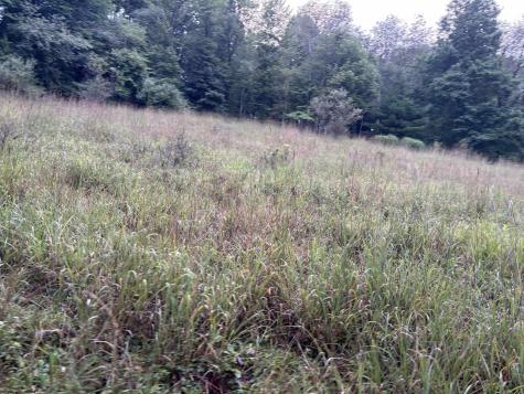 96 Donnie Hill Road Belington WV 26250