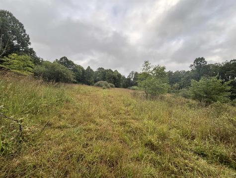 96 Donnie Hill Road Belington WV 26250
