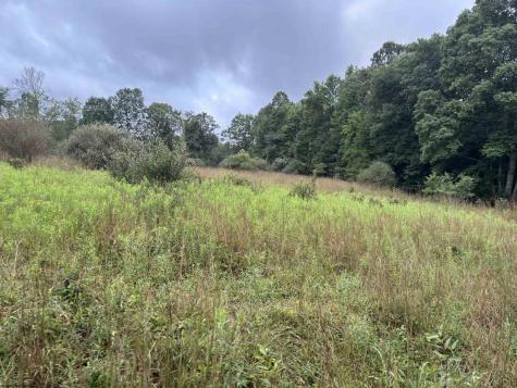 96 Donnie Hill Road Belington WV 26250
