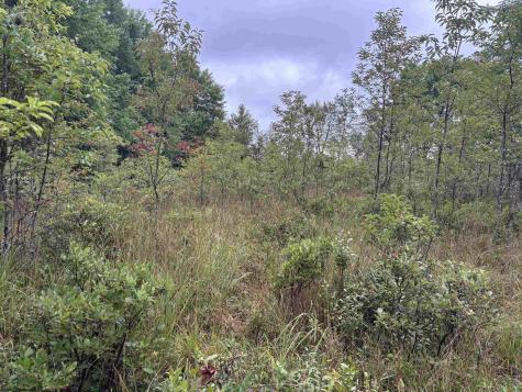 96 Donnie Hill Road Belington WV 26250