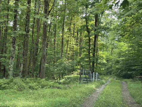96 Donnie Hill Road Belington WV 26250