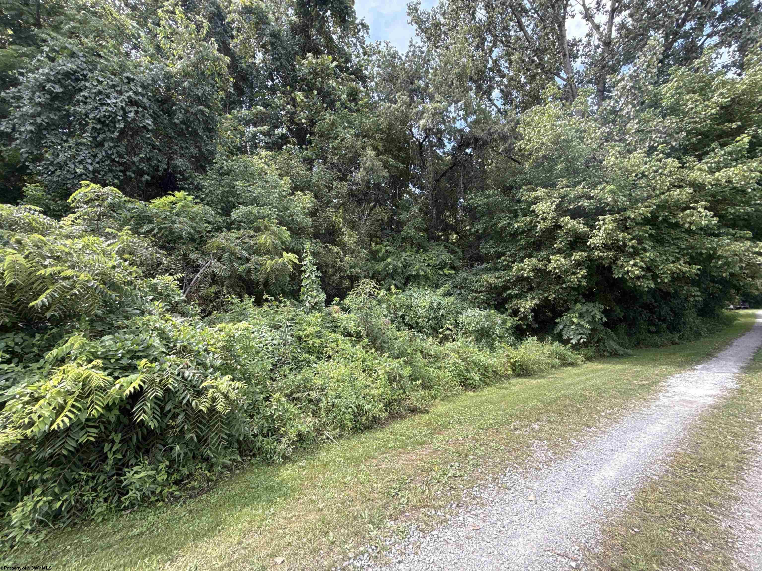 0 Gall Avenue Belington WV 26250