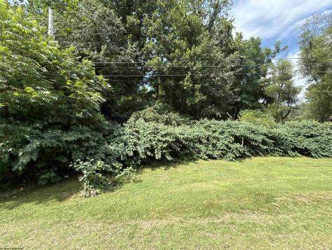 0 Gall Avenue Belington WV 26250