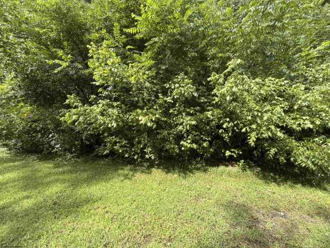 0 Gall Avenue Belington WV 26250