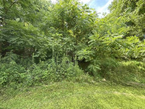 0 Gall Avenue Belington WV 26250