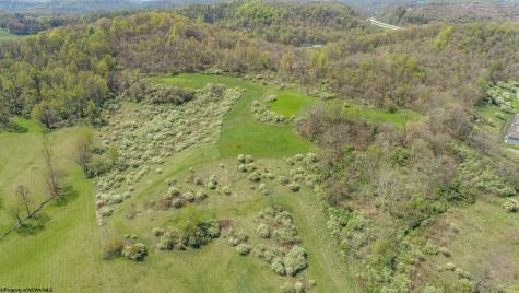 0 Benedum Run Road Anmoore WV 26323
