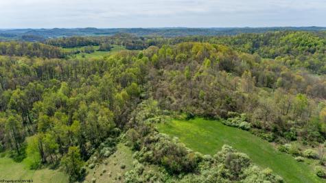 0 Benedum Run Road Anmoore WV 26323