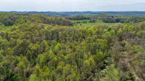 0 Benedum Run Road Anmoore WV 26323
