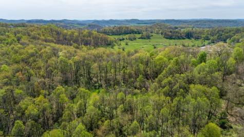 0 Benedum Run Road Anmoore WV 26323