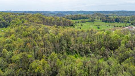 0 Benedum Run Road Anmoore WV 26323