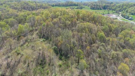 0 Benedum Run Road Anmoore WV 26323