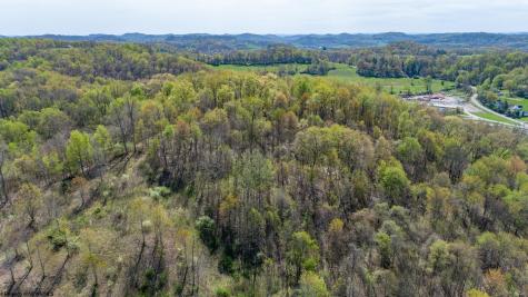 0 Benedum Run Road Anmoore WV 26323