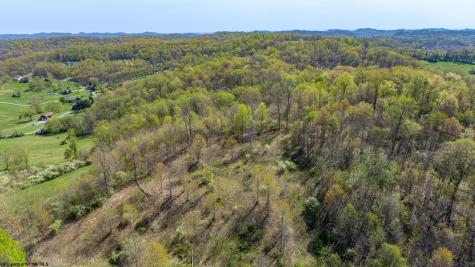 0 Benedum Run Road Anmoore WV 26323