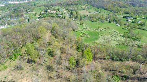 0 Benedum Run Road Anmoore WV 26323