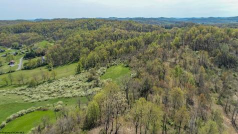 0 Benedum Run Road Anmoore WV 26323