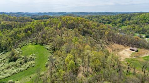 0 Benedum Run Road Anmoore WV 26323