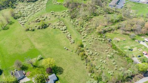 0 Benedum Run Road Anmoore WV 26323