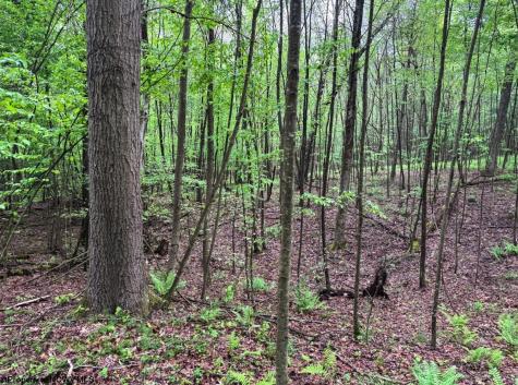 103 Laurel Loop Bruceton Mills WV 26525
