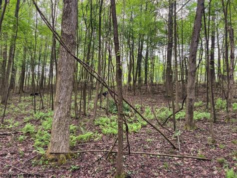 103 Laurel Loop Bruceton Mills WV 26525