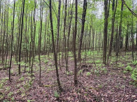 103 Laurel Loop Bruceton Mills WV 26525