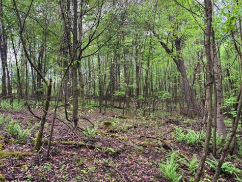 103 Laurel Loop Bruceton Mills WV 26525