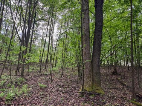 103 Laurel Loop Bruceton Mills WV 26525