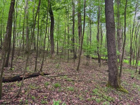 103 Laurel Loop Bruceton Mills WV 26525