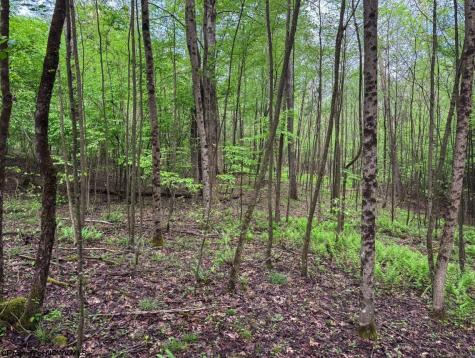 103 Laurel Loop Bruceton Mills WV 26525
