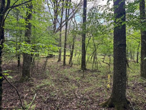 103 Laurel Loop Bruceton Mills WV 26525