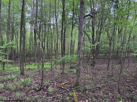 103 Laurel Loop Bruceton Mills WV 26525
