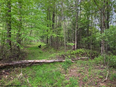 103 Laurel Loop Bruceton Mills WV 26525