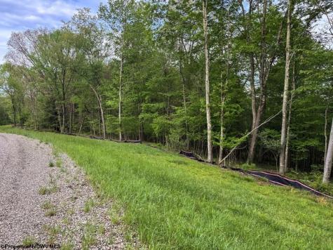 103 Laurel Loop Bruceton Mills WV 26525