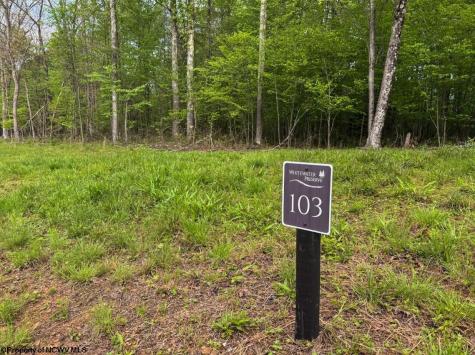 103 Laurel Loop Bruceton Mills WV 26525