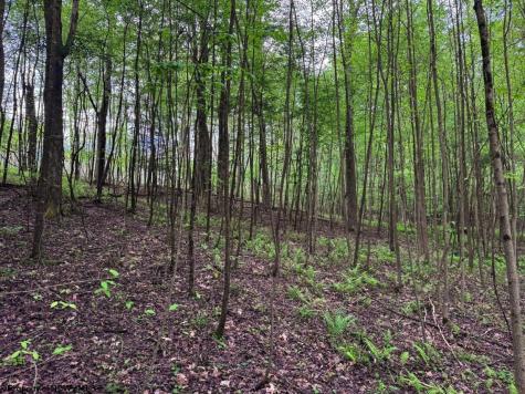 103 Laurel Loop Bruceton Mills WV 26525
