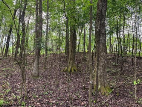 103 Laurel Loop Bruceton Mills WV 26525