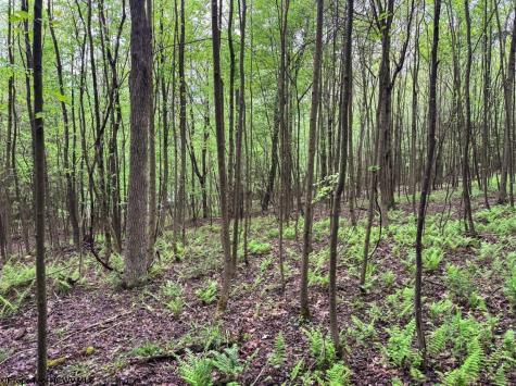 103 Laurel Loop Bruceton Mills WV 26525
