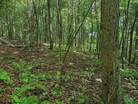 0 Whitewater Parkway Bruceton Mills WV 26525