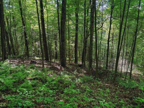 0 Whitewater Parkway Bruceton Mills WV 26525