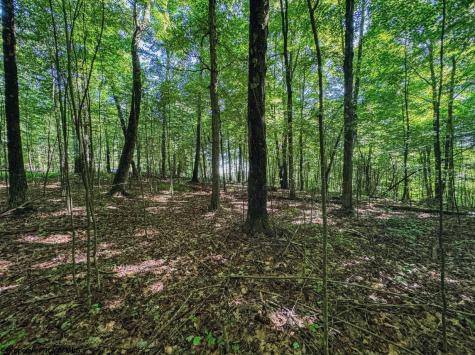 0 Whitewater Parkway Bruceton Mills WV 26525