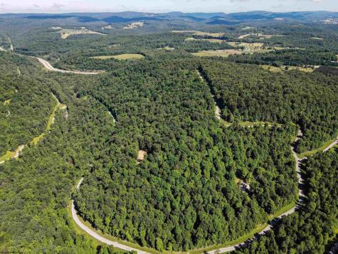 0 Whitewater Parkway Bruceton Mills WV 26525